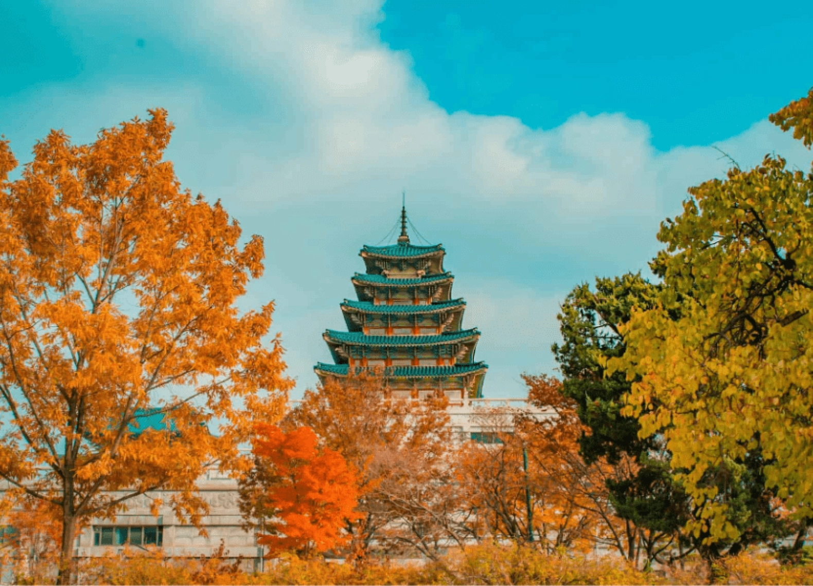 [Tour Hàn Quốc tháng 11] Mùa thu Seoul - Nami - Everland (18/11/2026)