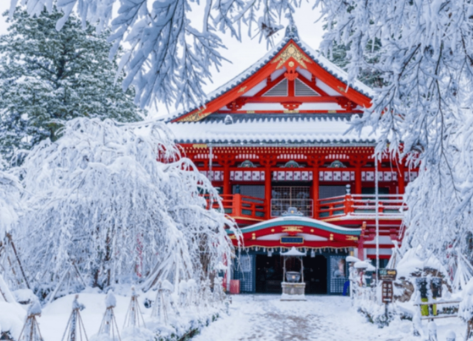 [Tour Nhật Bản CĐV tháng 1] Tokyo - Phú Sĩ - Nagoya - Kyoto - Osaka (14/01/2026)