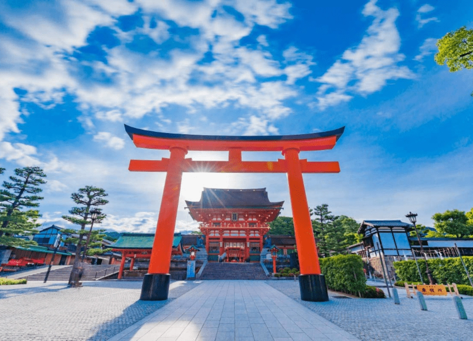[Tour Nhật Bản CĐV tháng 7] Trải nghiệm Tokyo - Phú Sĩ - Nagoya - Kyoto - Osaka (07/07/2026)