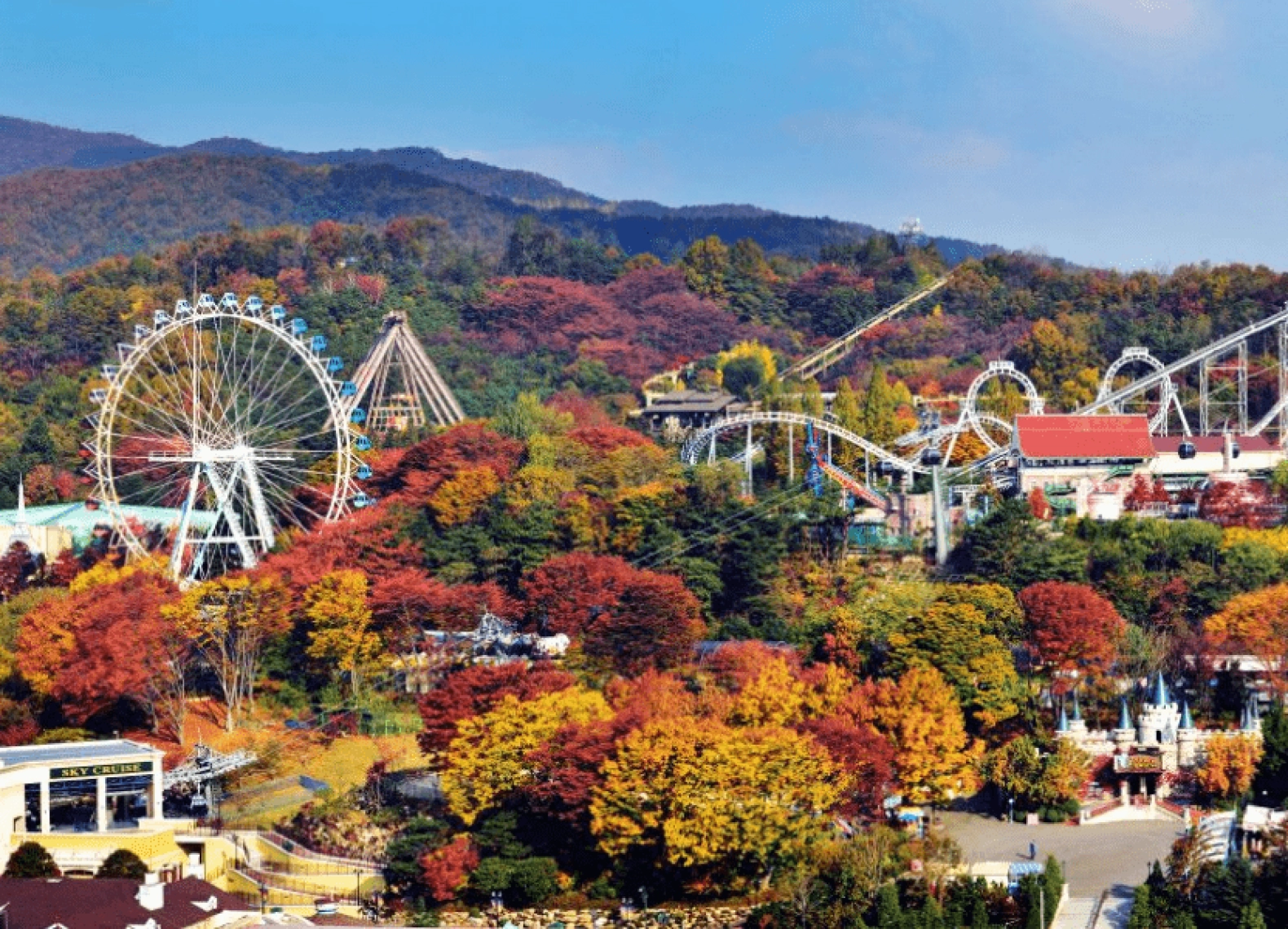 [Tour Hàn Quốc tháng 11] Mùa thu Seoul - Nami - Everland (18/11/2026)