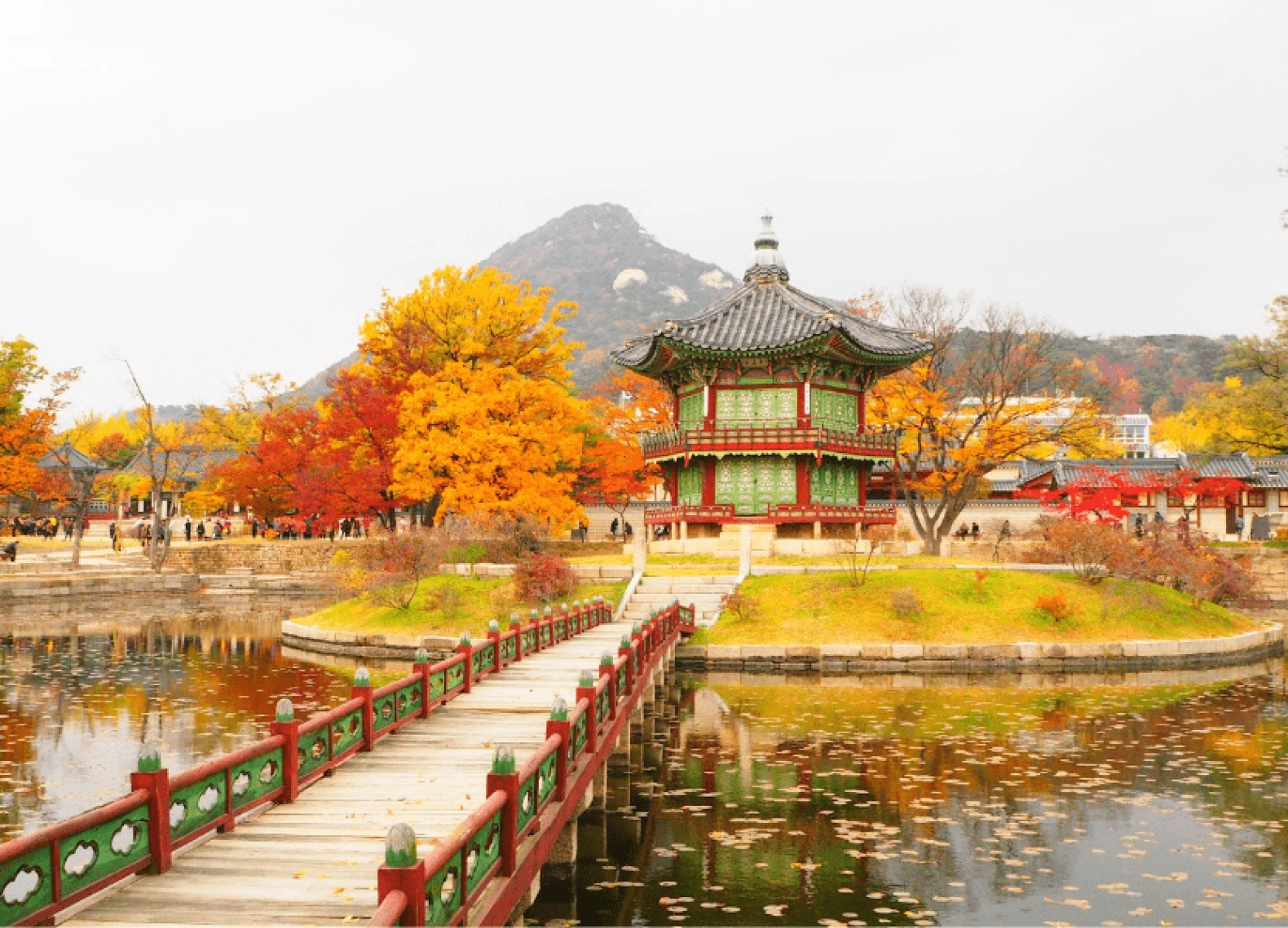 [Tour Hàn Quốc tháng 11] Mùa thu Seoul - Nami - Everland (18/11/2026)