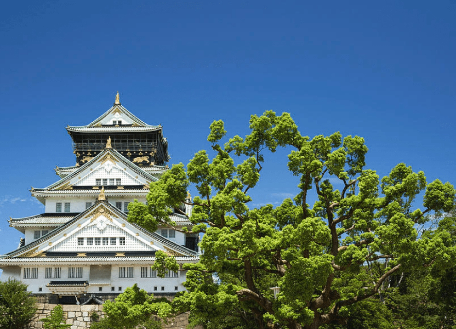 [Tour Nhật Bản CĐV tháng 7] Tokyo - Phú Sĩ - Nagoya - Kyoto - Osaka (15/07/2026)