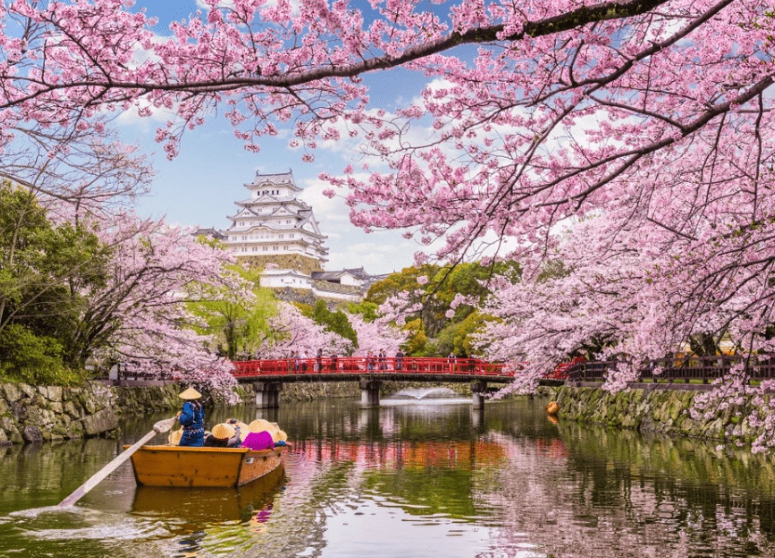 [Tour Nhật Bản CĐV tháng 4] Khám phá mùa hoa anh đào (14/04/2026)