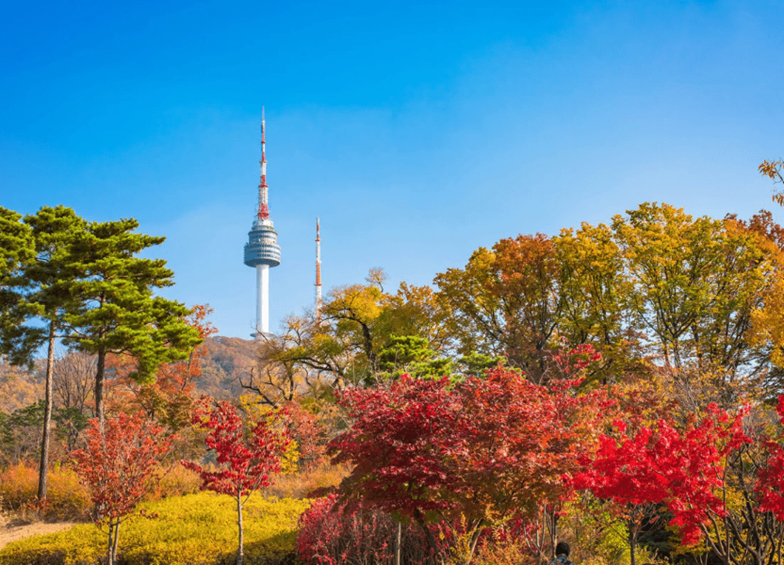 [Tour Hàn Quốc tháng 11] Mùa thu Seoul - Nami - Everland (18/11/2026)