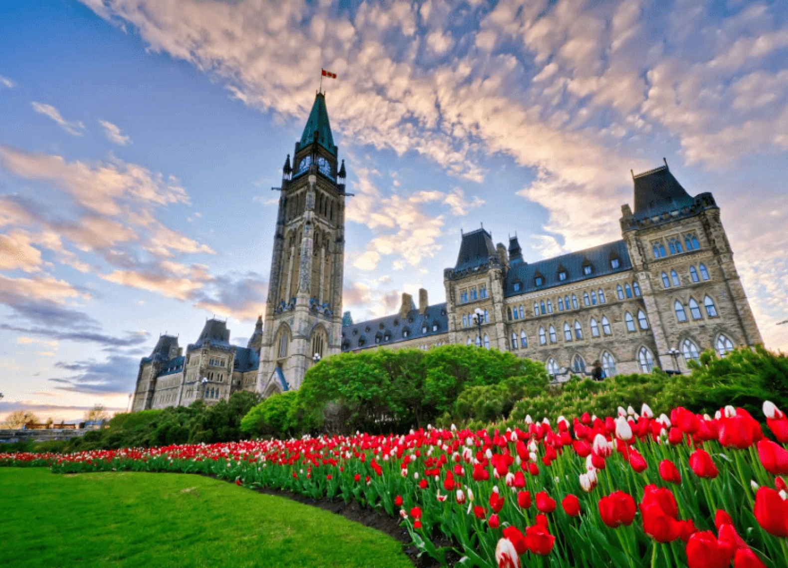 [Tour Canada bờ Tây tháng 8] Vancouver - Victoria - Cảng Inner (31/08/2025)