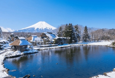 [Tour Nhật Bản CĐV tháng 1] Đón Tết cổ truyền ở Tokyo - Phú Sĩ (30/01/2025 - Mùng 2 Tết)
