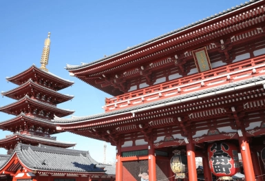 [Tour Nhật Bản CĐV tháng 7] Khám phá Tokyo - Phú Sĩ - Nagoya - Kyoto - Osaka (03/07/2026)