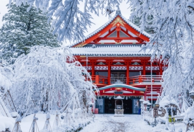 [Tour Nhật Bản CĐV tháng 1] Tokyo - Phú Sĩ - Nagoya - Kyoto - Osaka (14/01/2026)