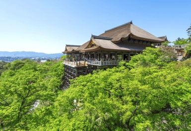 [Tour Nhật Bản CĐV tháng 7] Du lịch Tokyo - Phú Sĩ - Nagoya - Kyoto - Osaka (30/07/2026)