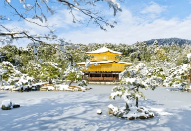 [Tour Nhật Bản CĐV tháng 1] Du lịch mùa đông Tokyo - Phú Sĩ - Nagoya - Kyoto - Osaka (14/01/2026)