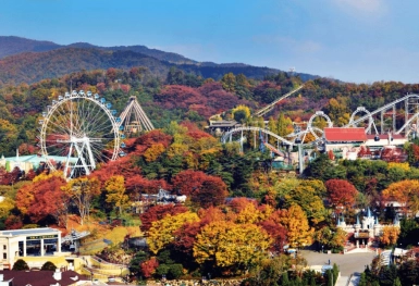 [Tour Hàn Quốc tháng 11] Mùa thu Seoul - Nami - Everland (18/11/2026)