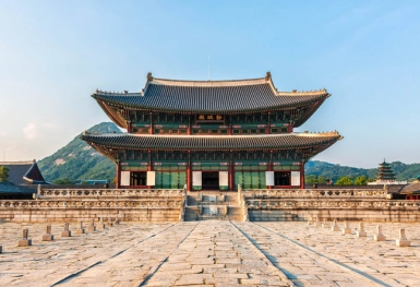 [Tour Hàn Quốc tháng 7] Du lịch mùa hè Seoul - Everland - Nami (24/07/2026)