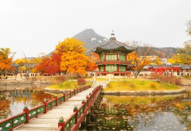 [Tour Hàn Quốc tháng 11] Mùa thu Seoul - Nami - Everland (18/11/2026)