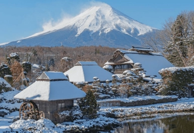[Tour Nhật Bản CĐV tháng 1] Tokyo - Phú Sĩ - Nagoya - Kyoto - Osaka (14/01/2026)