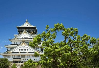 [Tour Nhật Bản CĐV tháng 7] Tokyo - Phú Sĩ - Nagoya - Kyoto - Osaka (07/07/2026)