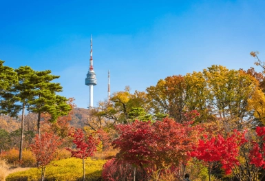 [Tour Hàn Quốc tháng 11] Mùa thu Seoul - Nami - Everland (18/11/2026)