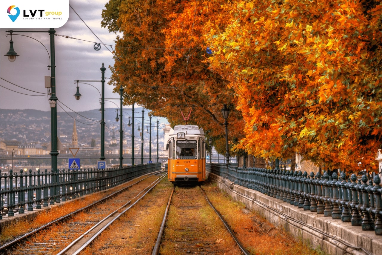 Đến Budapest để hưởng trọn vẻ đẹp của Hungary vào mùa thu