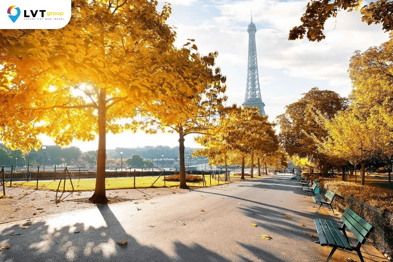 Mùa thu ở Paris với những hàng cây đã thay màu lá