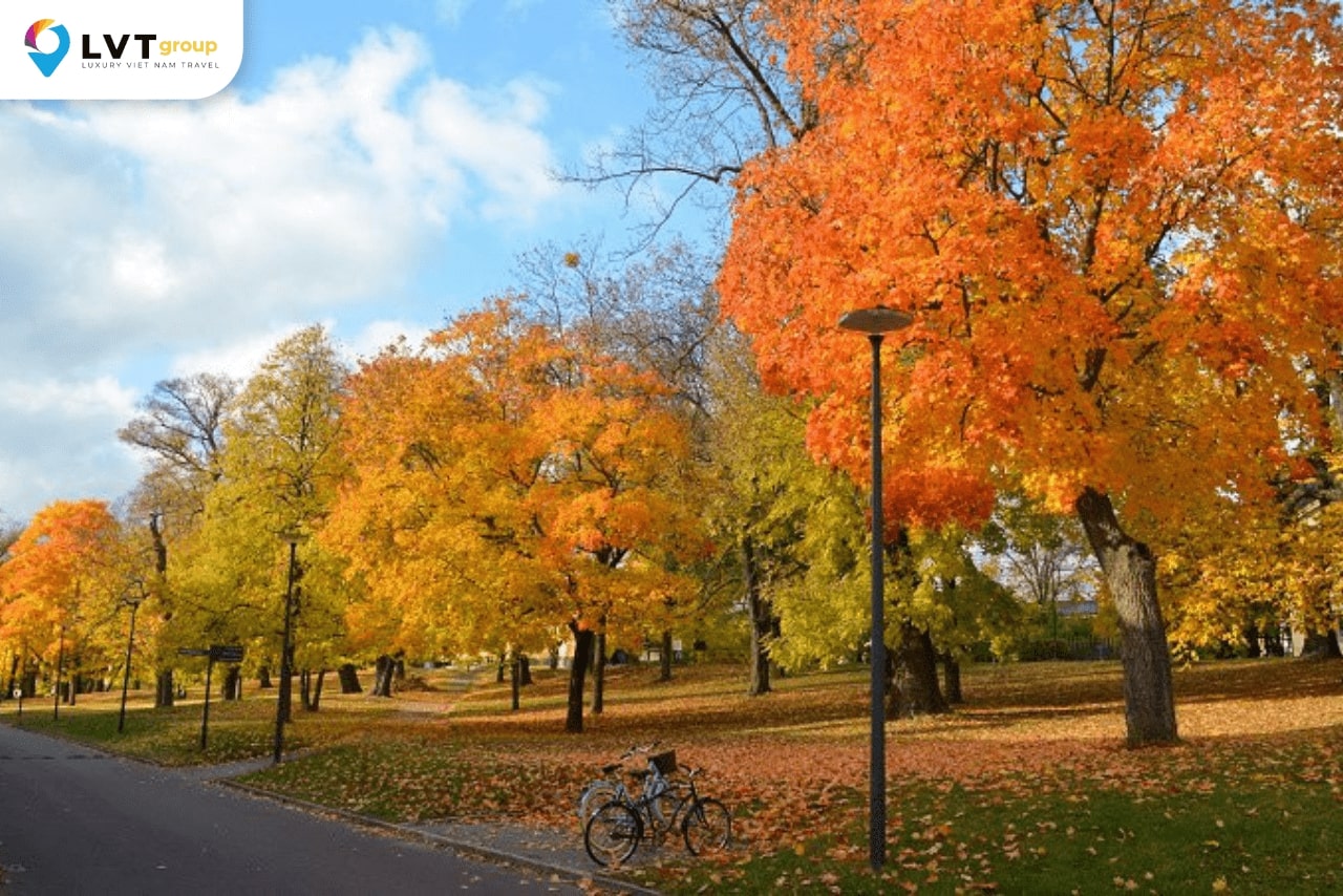 Stockholm nên thơ trong mắt khách du lịch vào mùa thu