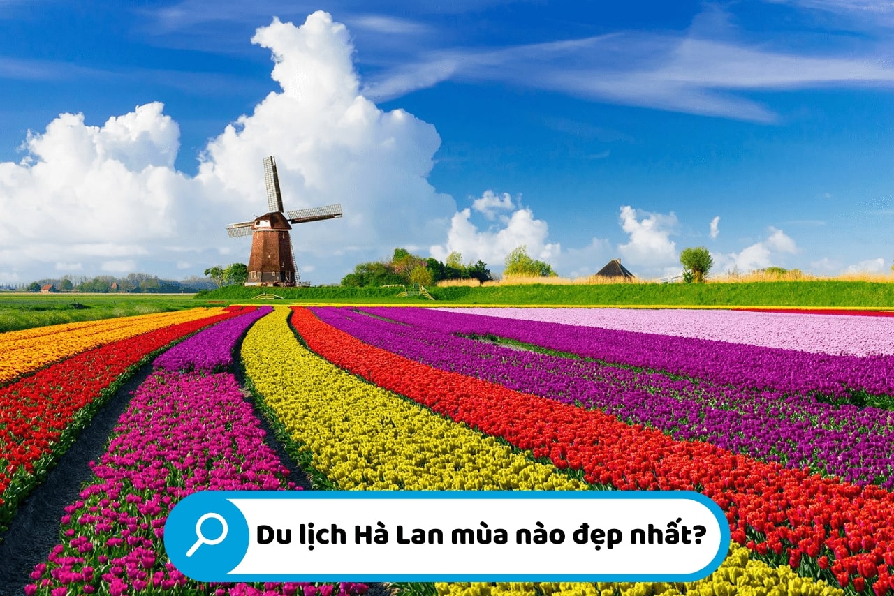 Nên đi du lịch Hà Lan mùa nào đẹp nhất trong năm?