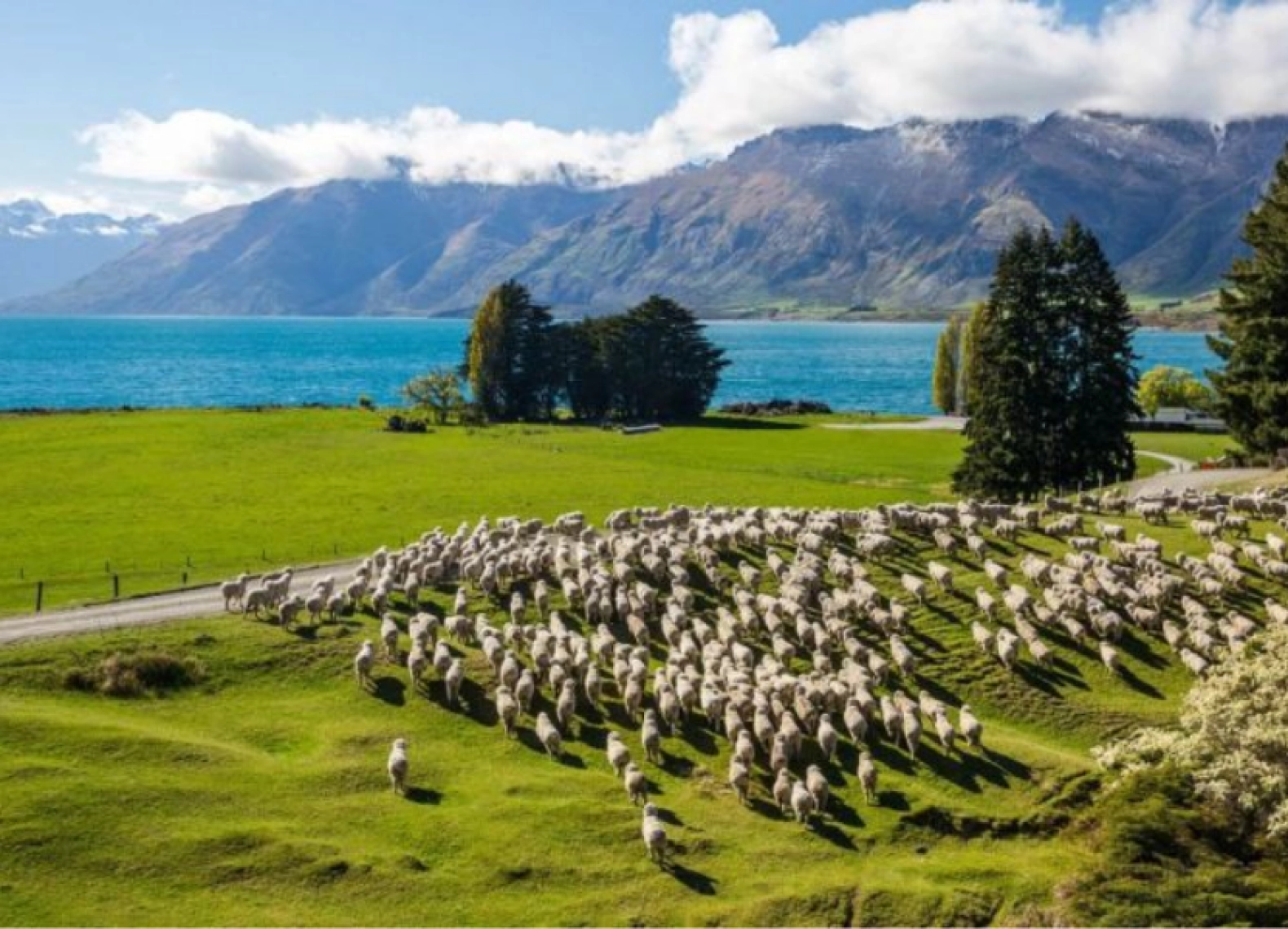 [Du lịch New Zealand tháng 8] Trải nghiệm Auckland - Taupo - Hamilton (20/08/2024)