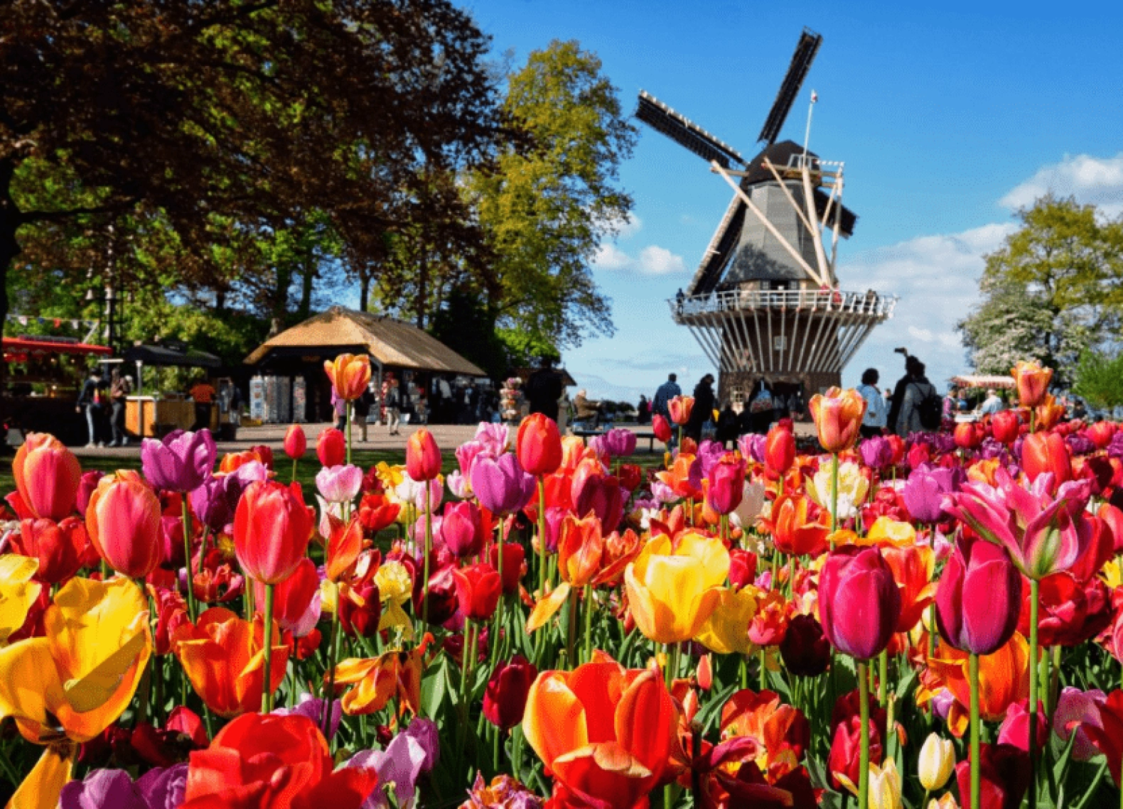 [Tour châu Âu 5 nước tháng 3] Vi vu Đức - Luxembourg - Bỉ - Hà Lan - Pháp (28/03/2026)