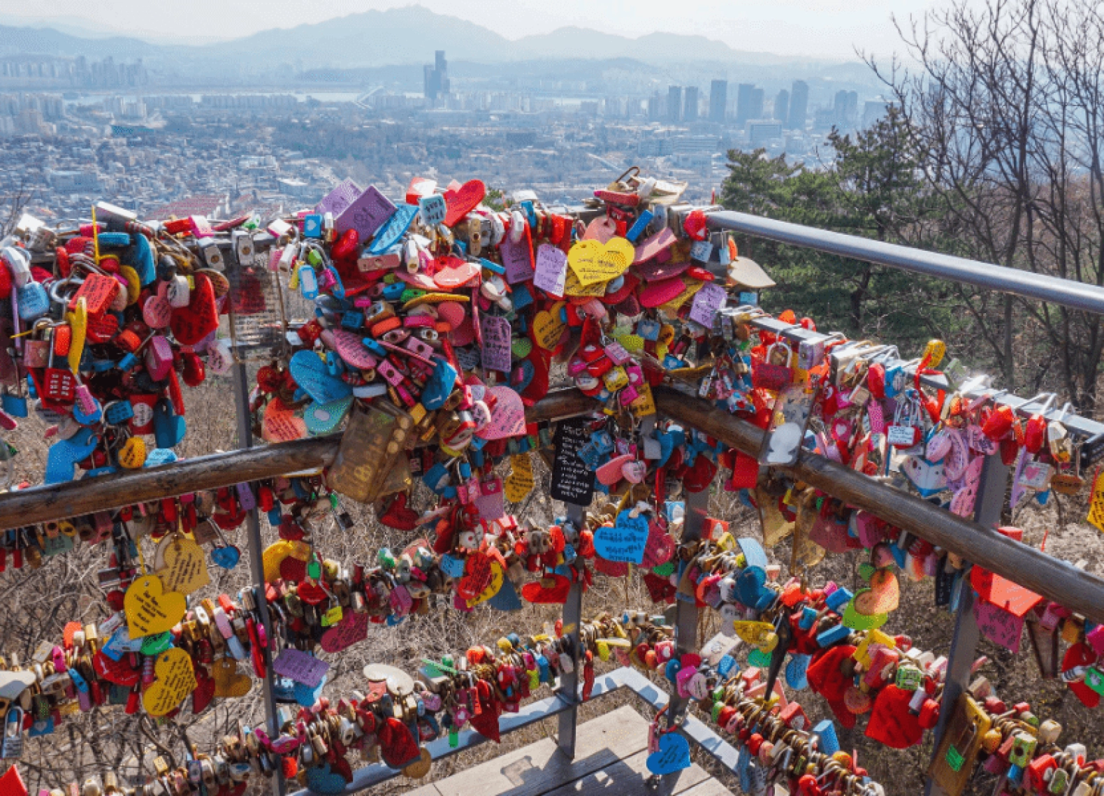 [Tour Hàn Quốc tháng 3] Ngắm hoa anh đào ở Yeouido (20/03/2026)