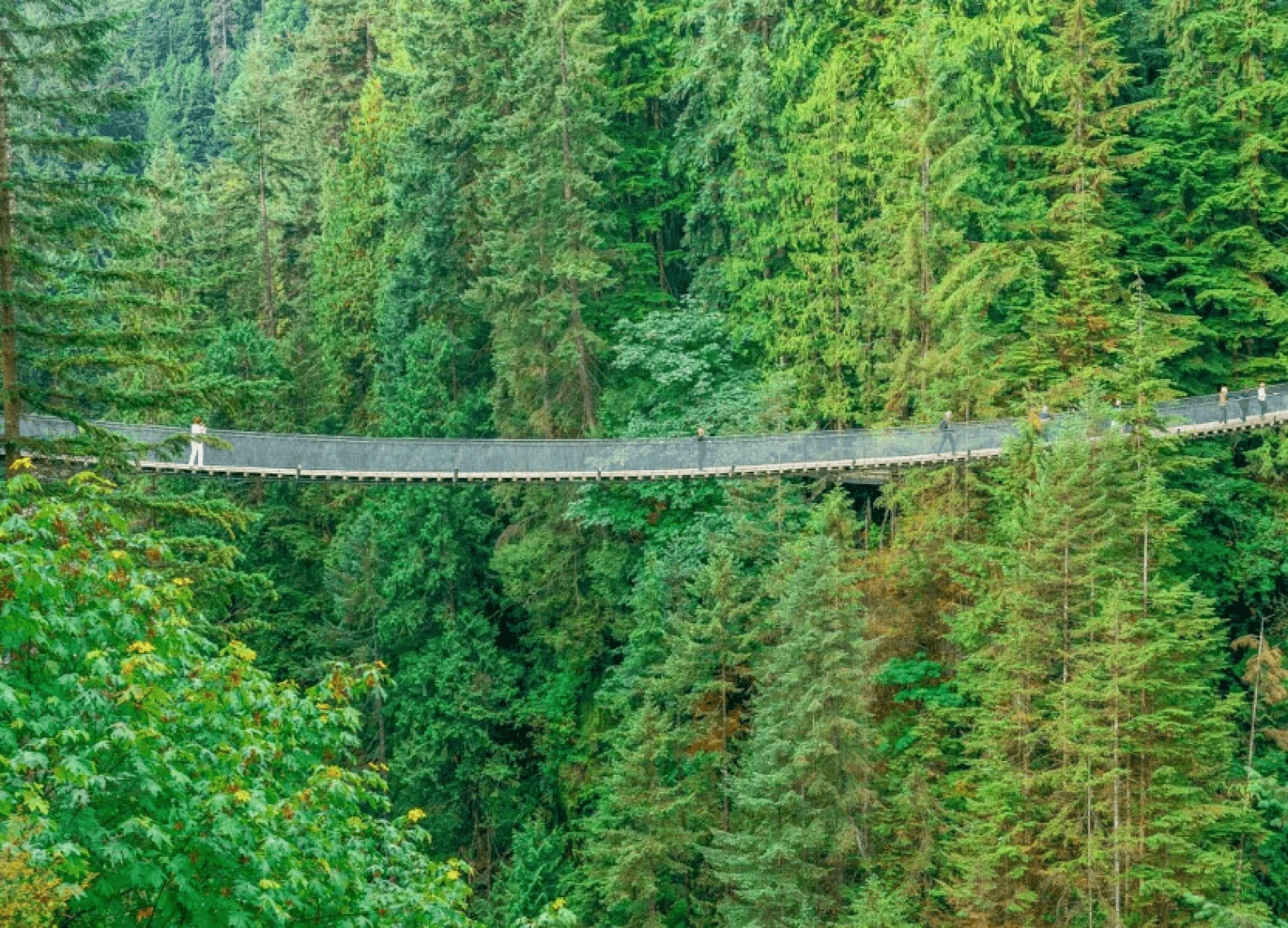 [Tour Canada bờ Tây tháng 7] Vancouver - Đảo Victoria (13/07/2026)
