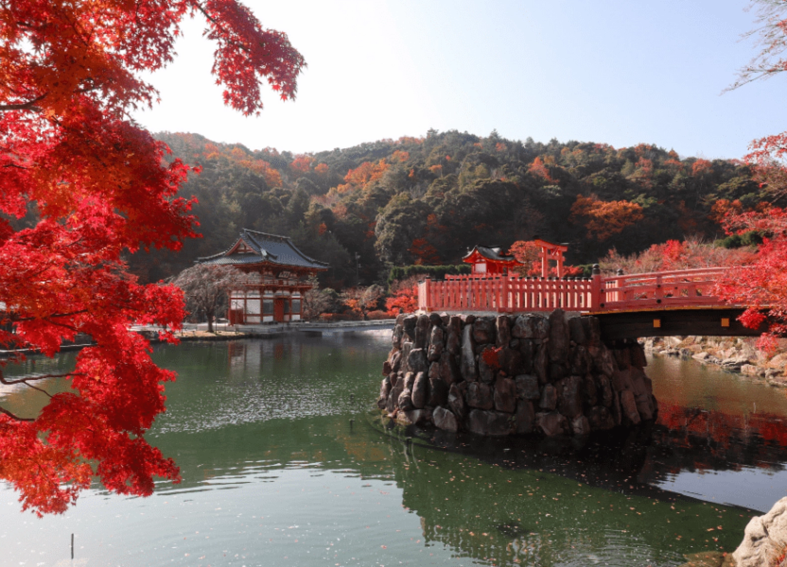 [Tour Nhật Bản CĐV tháng 10] Khám phá mùa lá đỏ Tokyo - Phú Sĩ - Nagoya - Kyoto (31/10/2025)