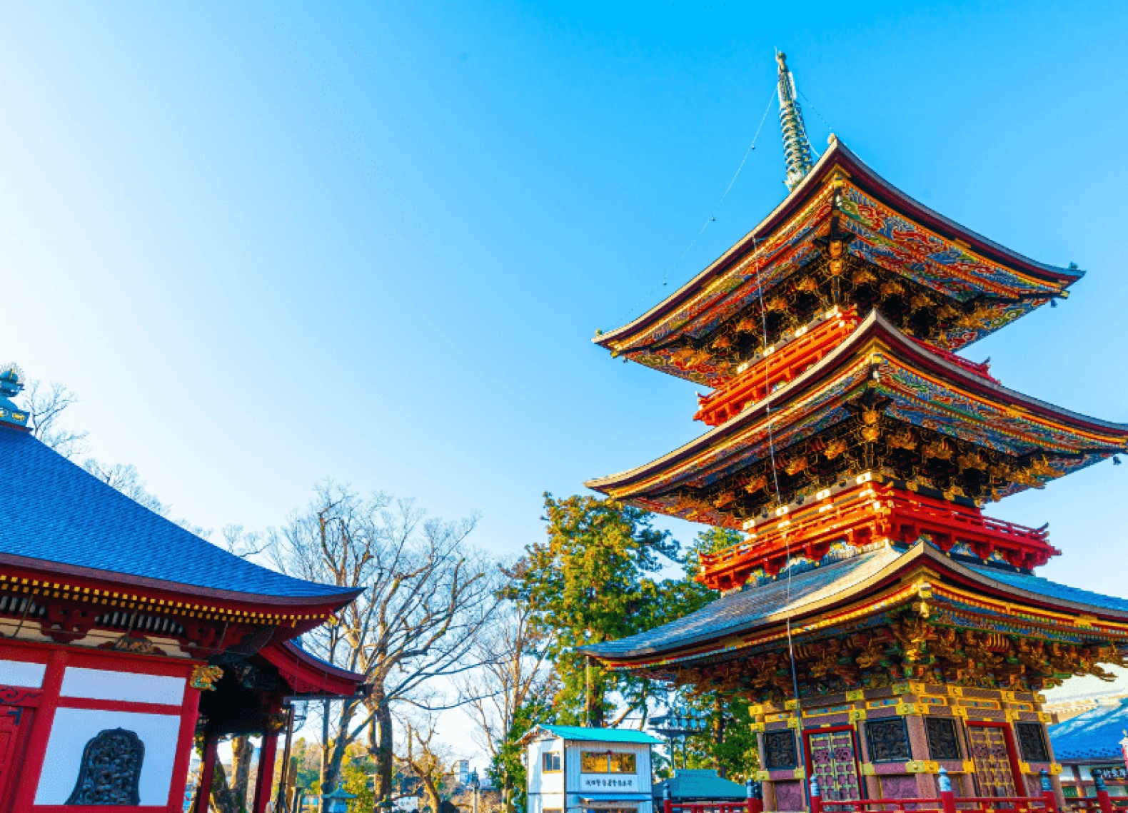 [Tour Nhật Bản 5N4Đ tháng 8] Tokyo - Phú Sĩ - Kamogawa (07/08/2025)