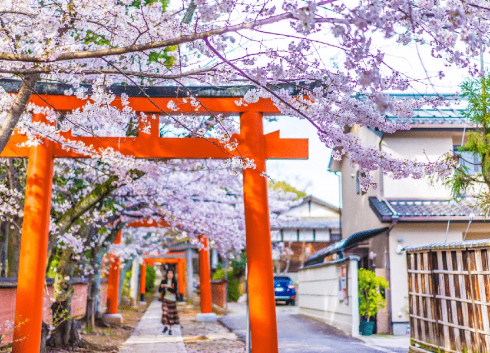 [Tour Nhật Bản CĐV tháng 4] Mùa hoa anh đào Osaka - Tokyo (02/04/2026)