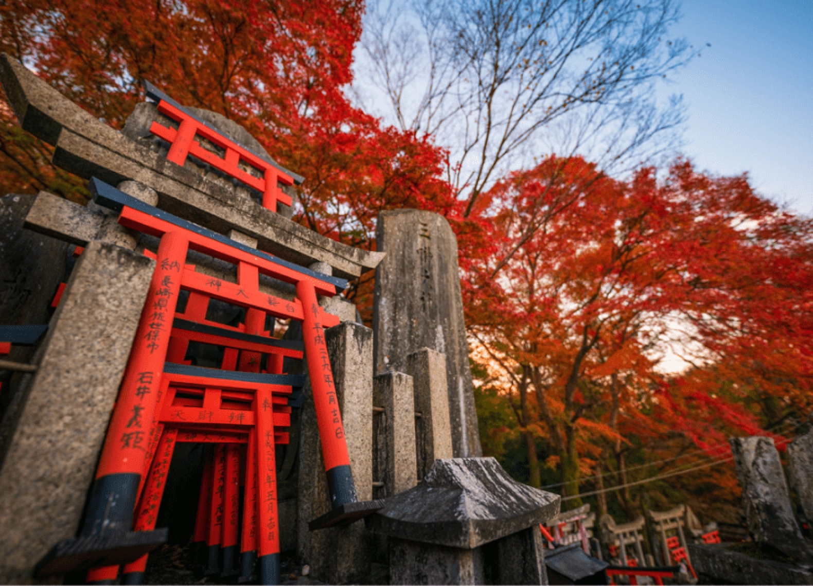 [Tour Nhật Bản CĐV tháng 12] Tokyo - Phú Sĩ - Nagoya - Kyoto - Osaka (16/12/2025)
