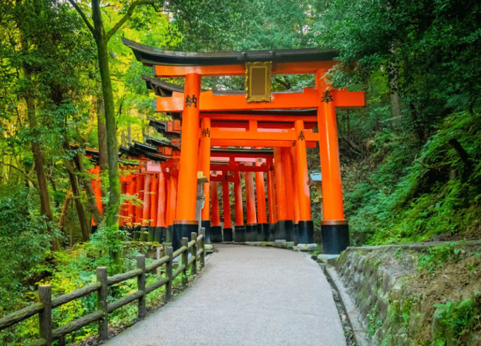 [Tour Nhật Bản CĐV tháng 7] Osaka - Kyoto Phú Sĩ - Tokyo (15/07/2025)