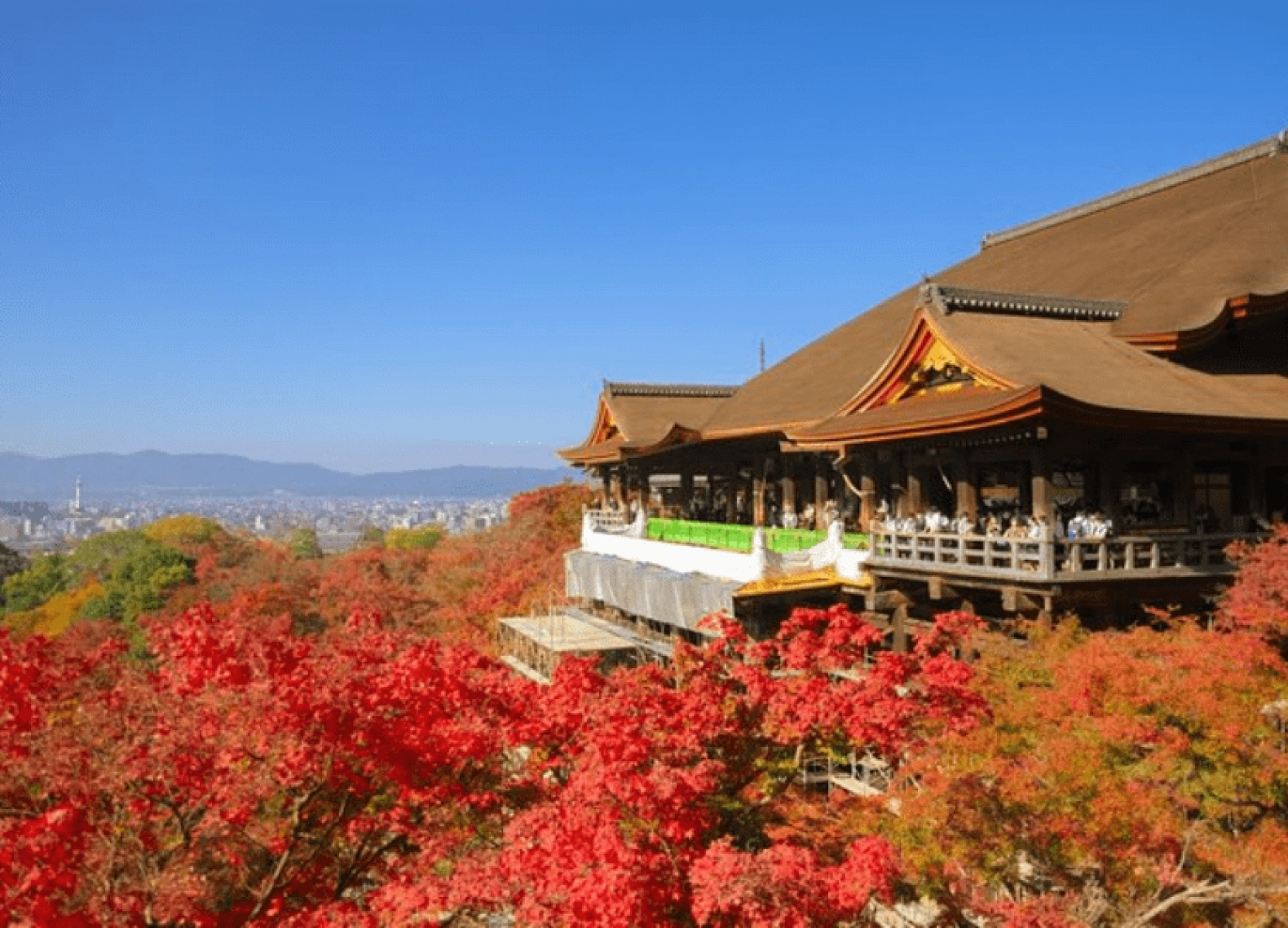 [Tour Nhật Bản CĐV tháng 10] Tokyo - Phú Sĩ - Nagoya - Kyoto - Osaka (24/10/2025)
