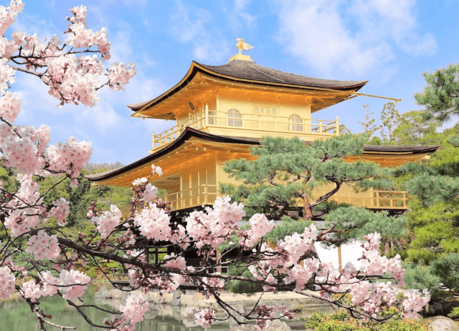 [Tour Nhật Bản CĐV tháng 4] Mùa hoa anh đào (17/04/2026)