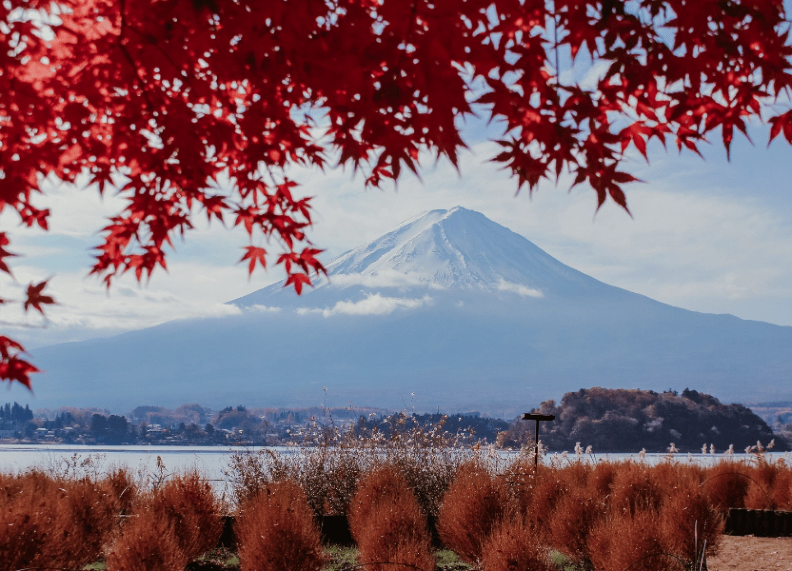 [Tour Nhật Bản CĐV tháng 12] Tokyo - Phú Sĩ - Nagoya - Kyoto - Osaka (16/12/2025)
