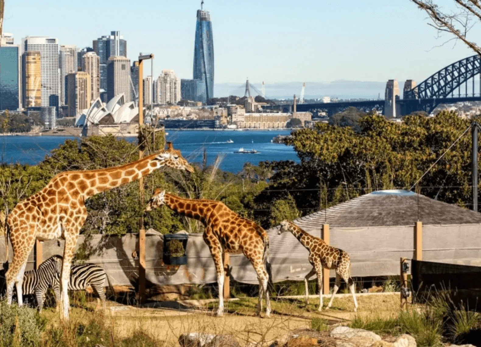 [Tour Úc tháng 8] Khám phá mùa đông Sydney - Melbourne (21/08/2025)