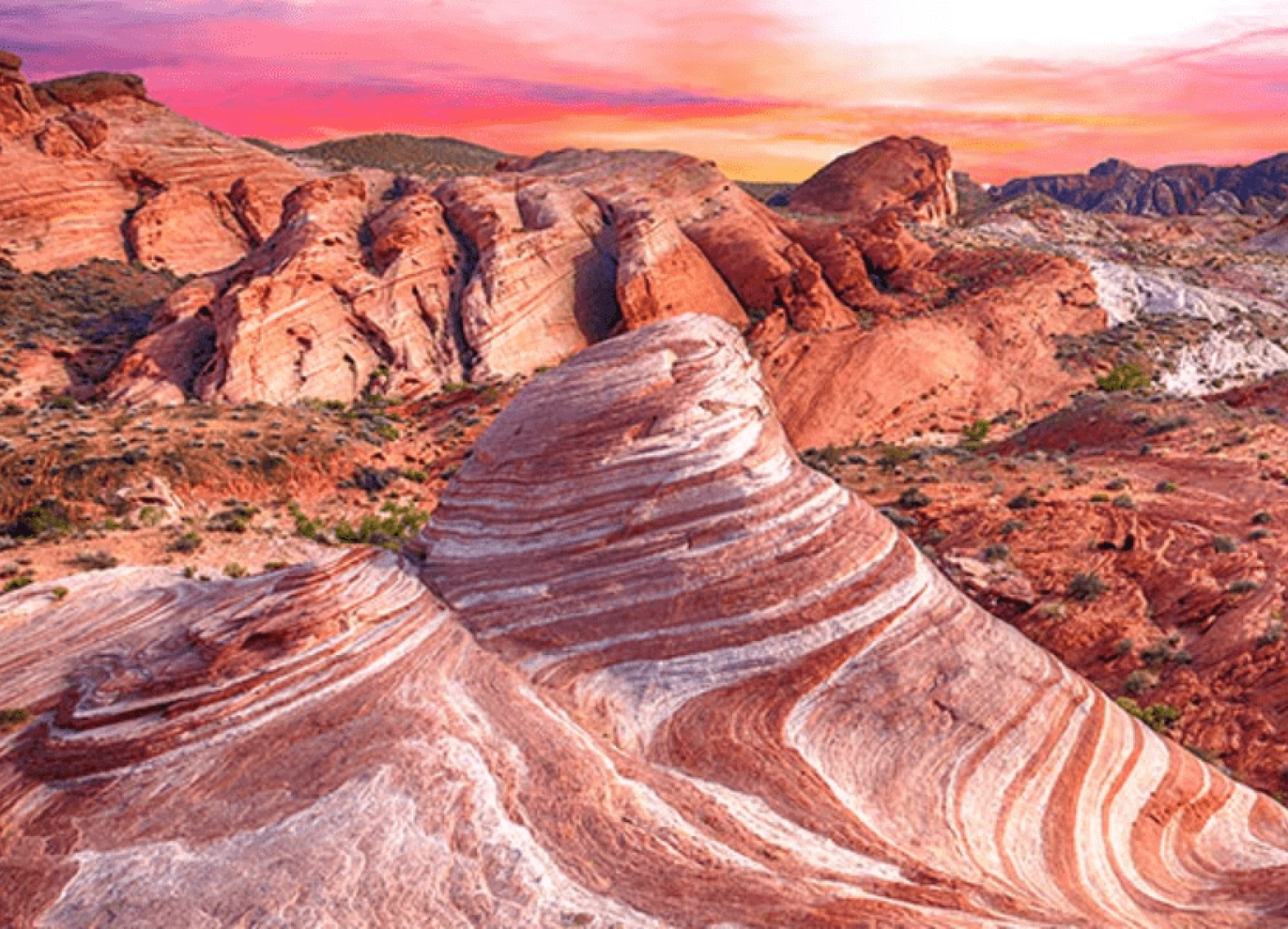 [Tour Mỹ bờ Tây tháng 6] Los Angeles - Las Vegas - San Diego (28/06/2025)
