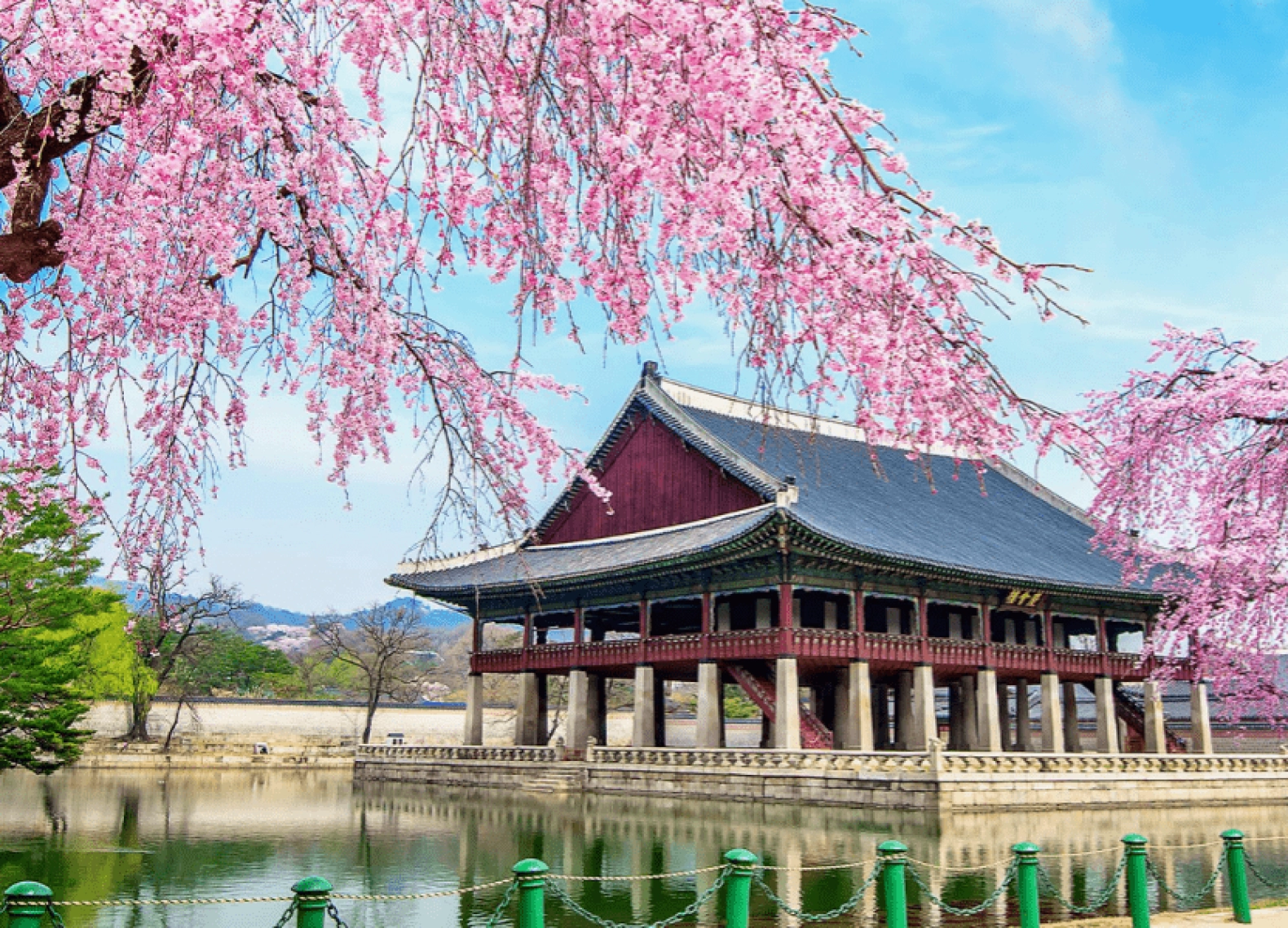 [Tour Hàn Quốc tháng 4] Vi vu Seoul - Nami - Everland mùa hoa anh đào (17/04/2026)