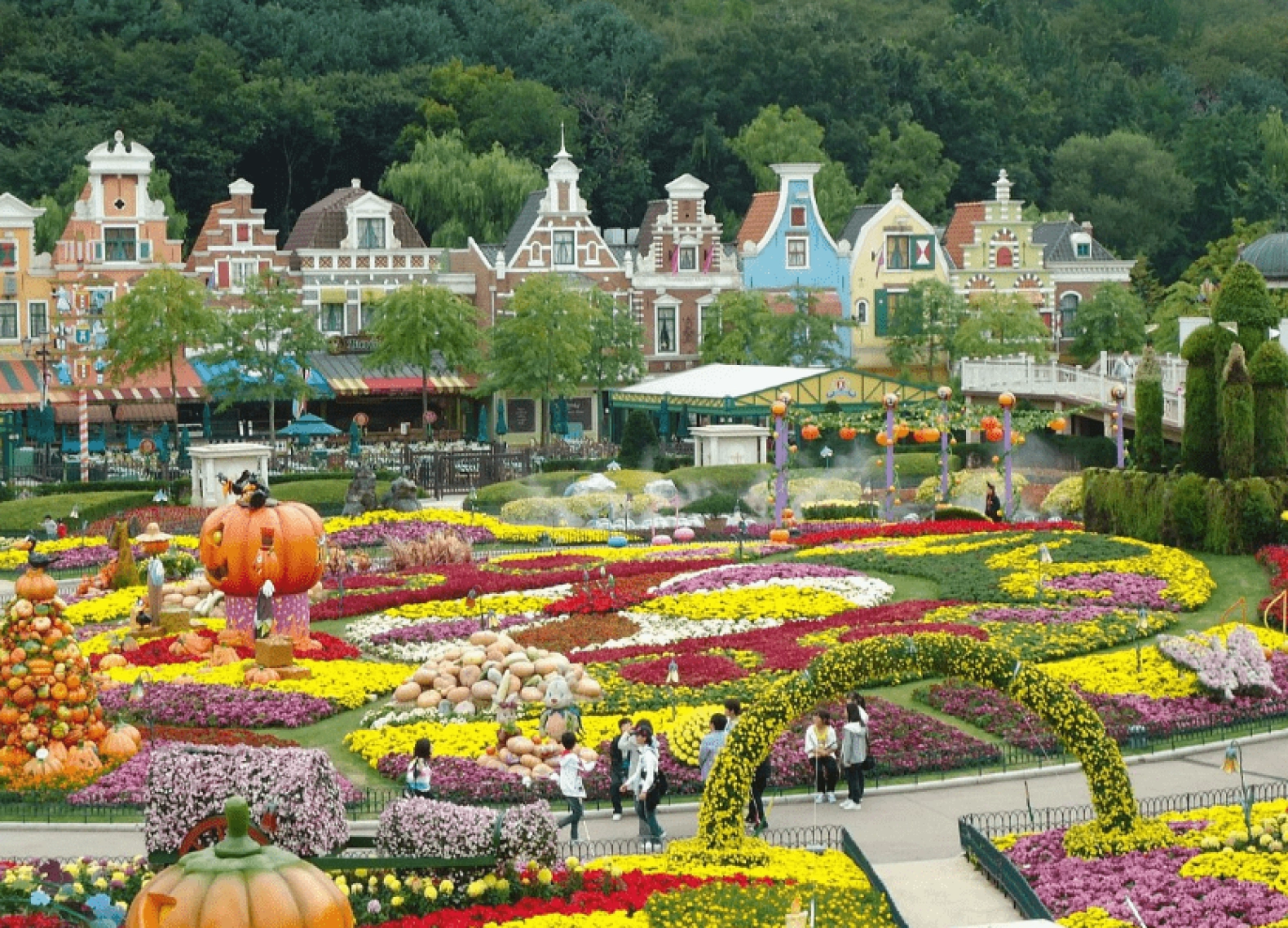 [Tour Hàn Quốc tháng 4] Ngắm hoa anh đào ở Yeouido (17/04/2026)