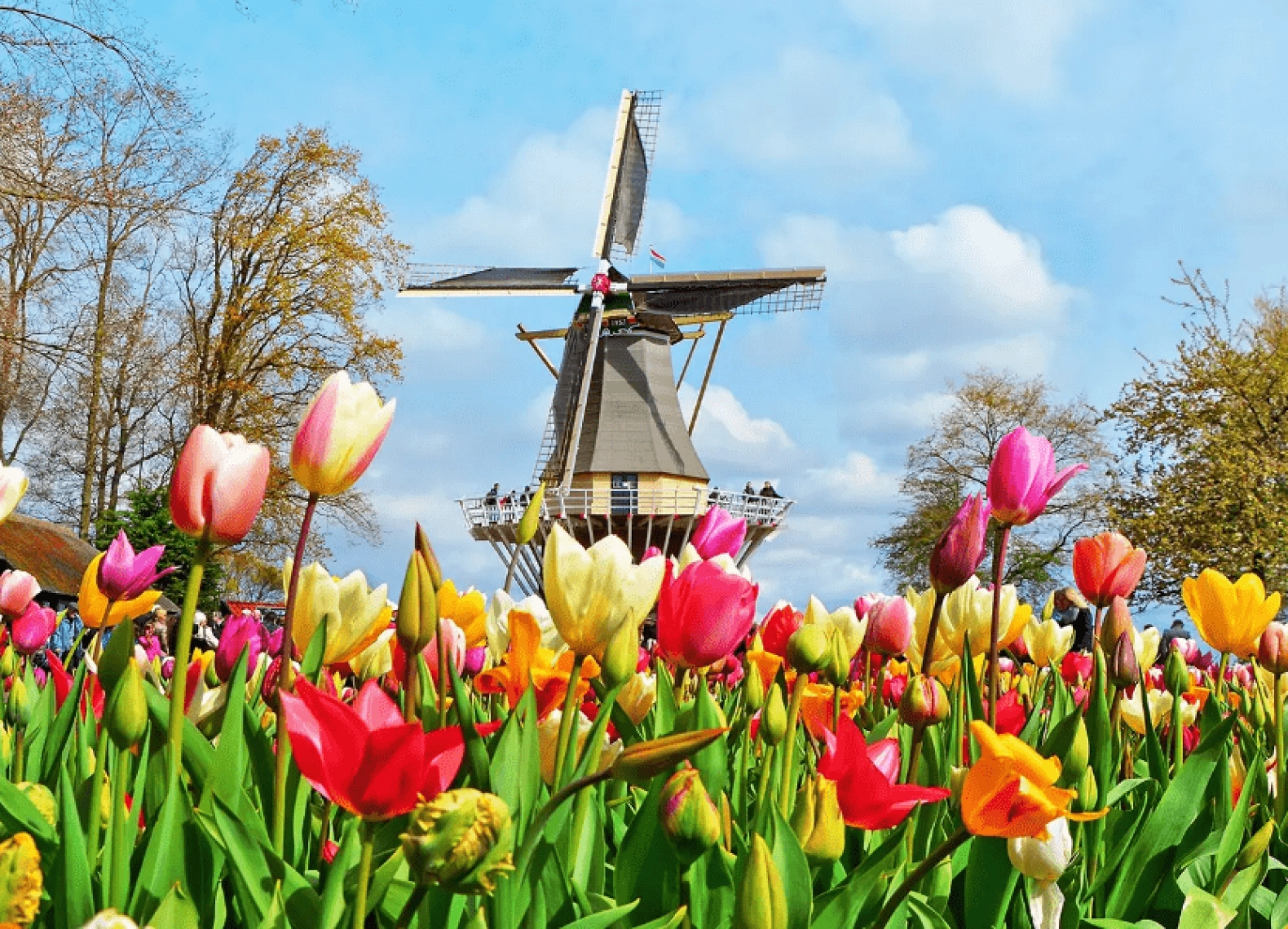 [Tour châu Âu 5 nước tháng 4] Pháp - Luxembourg - Bỉ - Hà Lan - Đức - Lễ hội hoa Tulip (13/04/2026)