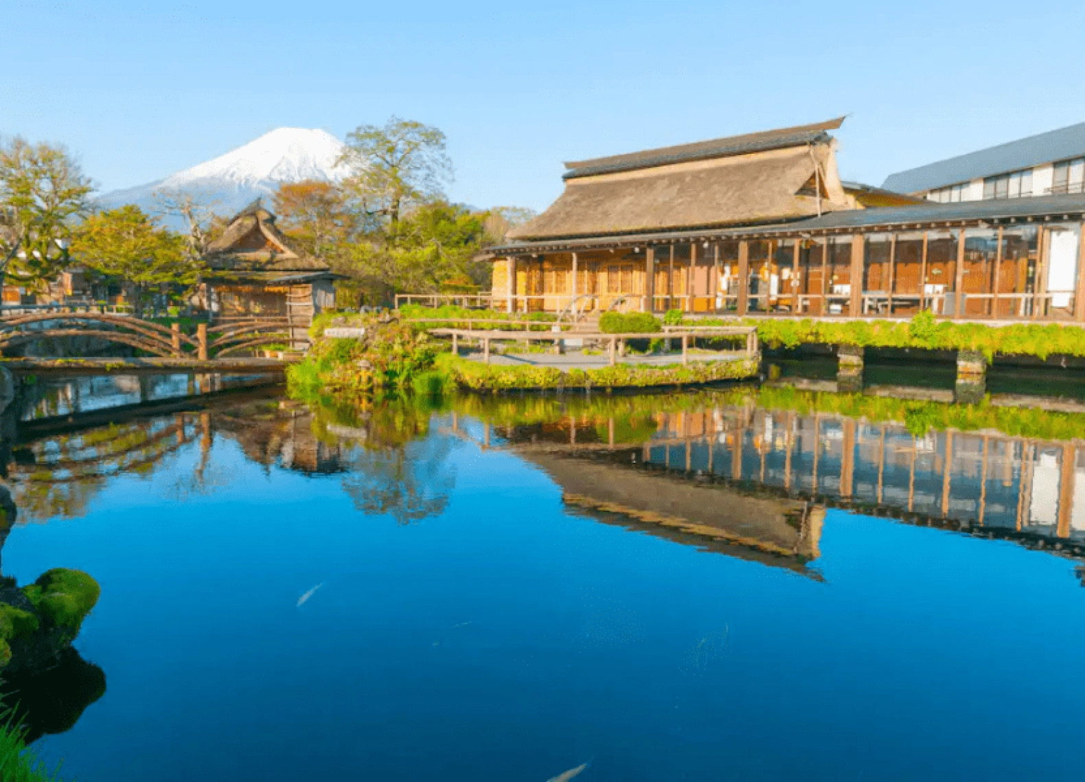 [Tour Nhật Bản CĐV tháng 7] Du lịch Tokyo - Phú Sĩ - Nagoya - Kyoto - Osaka (22/07/2025)