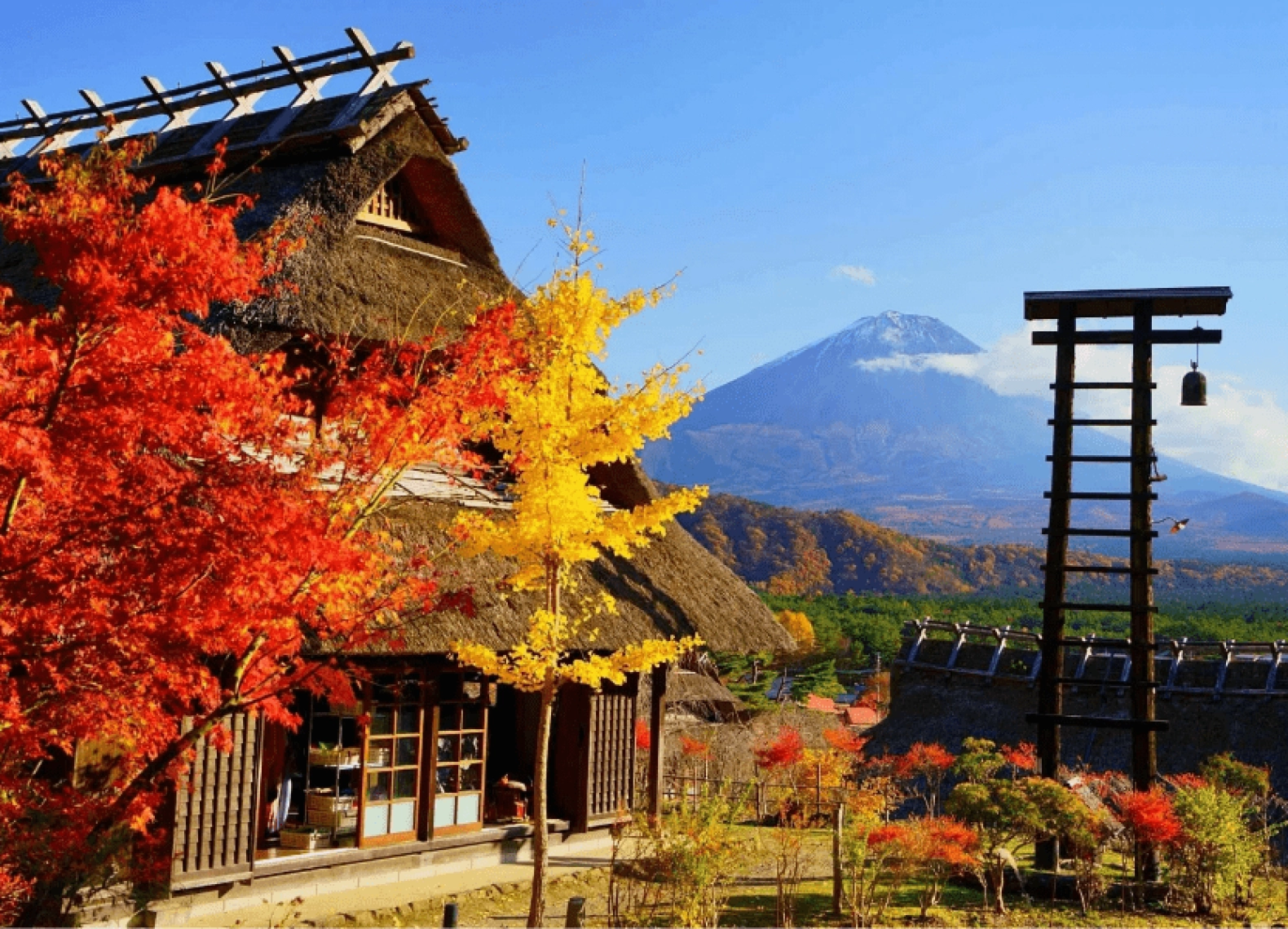 [Tour Nhật Bản CĐV tháng 11] Tham quan Osaka - Kyoto - Nagoya - Phú Sĩ - Tokyo mùa lá đỏ (18/11/2025)