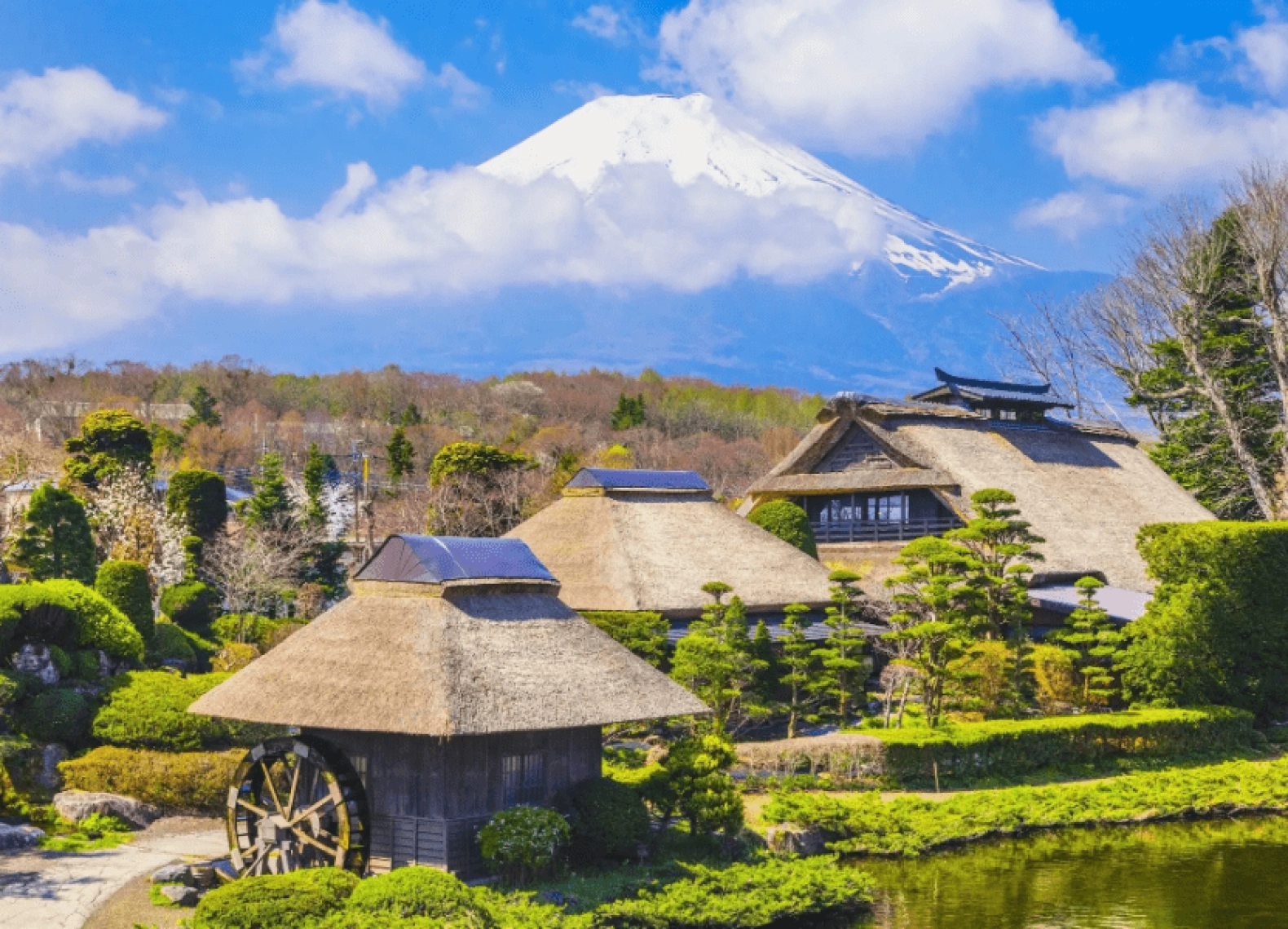 [Tour Nhật Bản 5N4Đ tháng 7] Vi vu Nhật Bản mùa hè Tokyo - Phú Sĩ - Kamogawa (17/07/2025)