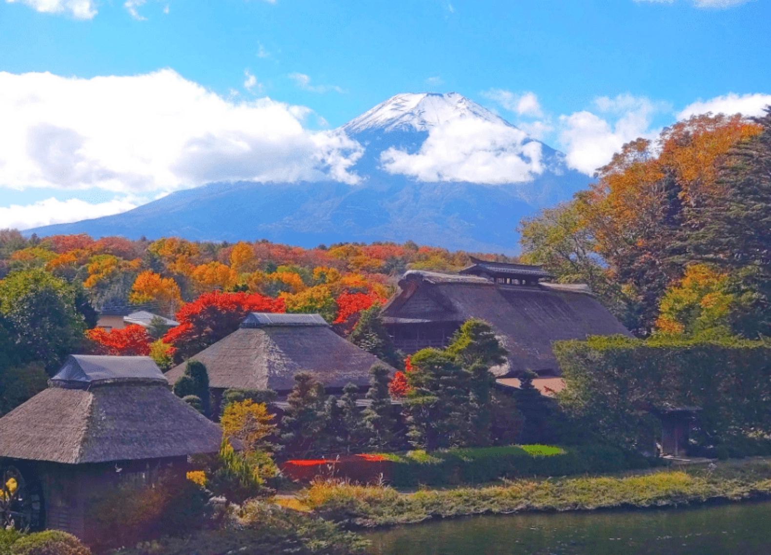 [Tour Nhật Bản CĐV tháng 12] Trải nghiệm Tokyo - Phú Sĩ - Nagoya - Kyoto - Osaka (03/12/2025)