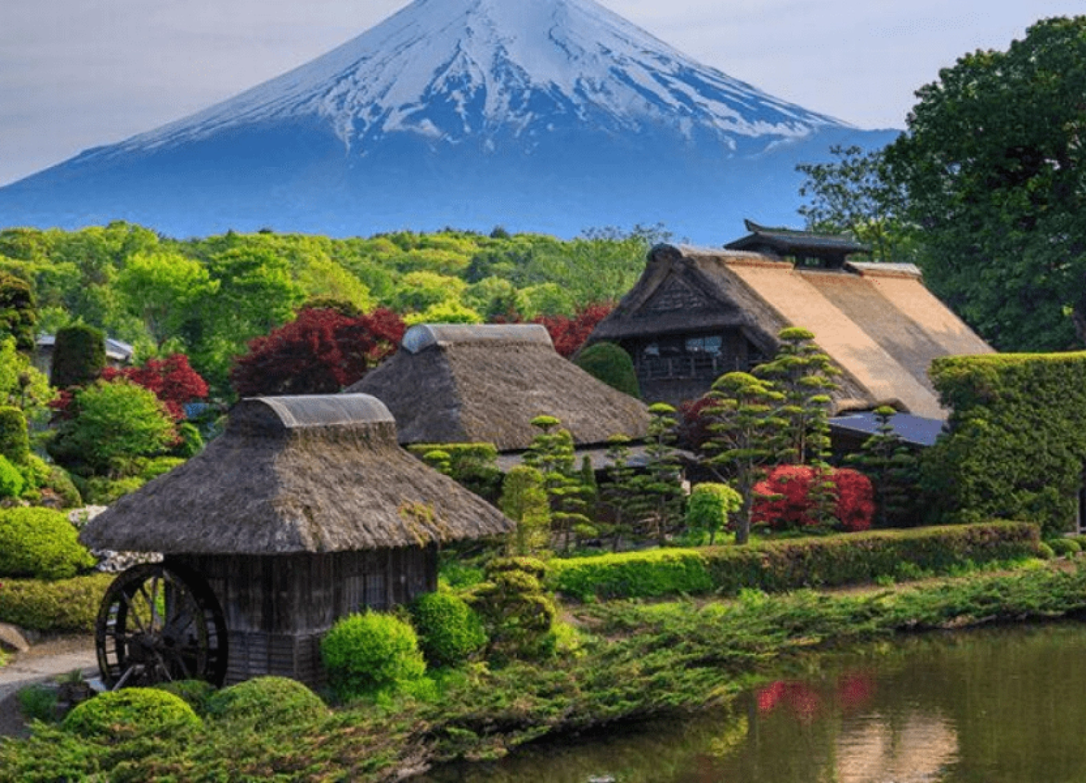 [Tour Nhật Bản CĐV tháng 5] Khám phá mùa hè Tokyo - Phú Sĩ - Osaka (26/05/2026)