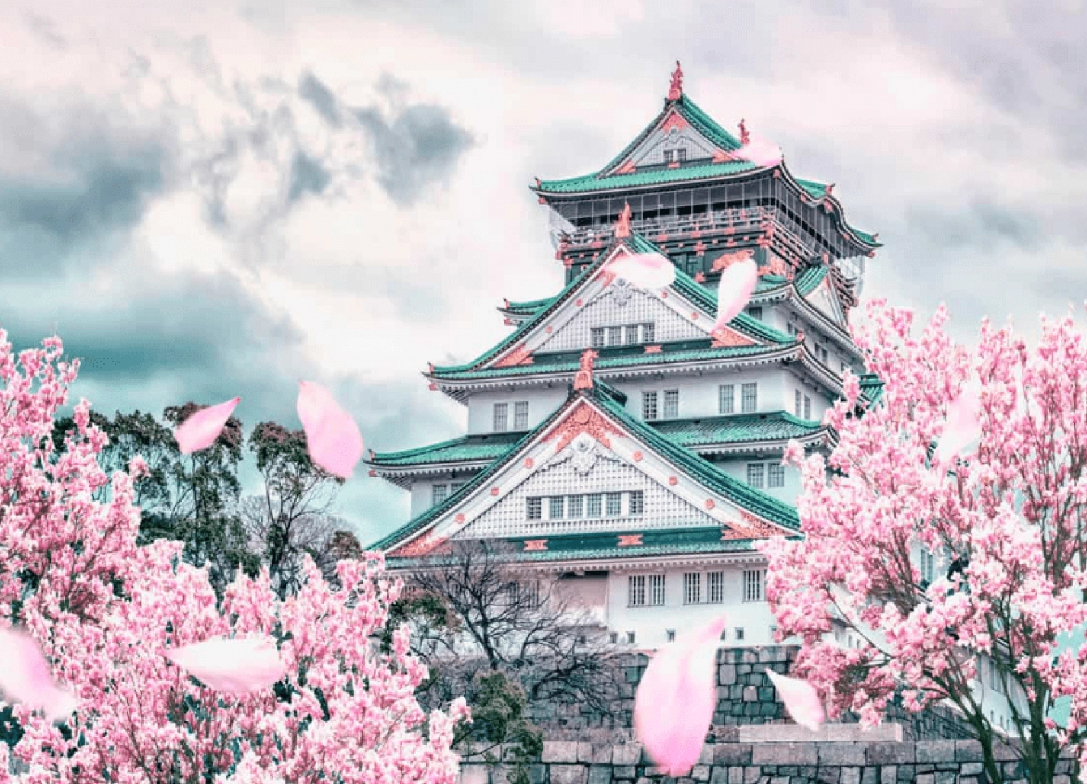 [Tour Nhật Bản CĐV tháng 3] Vi vu mùa hoa anh đào Osaka - Tokyo (31/03/2026)