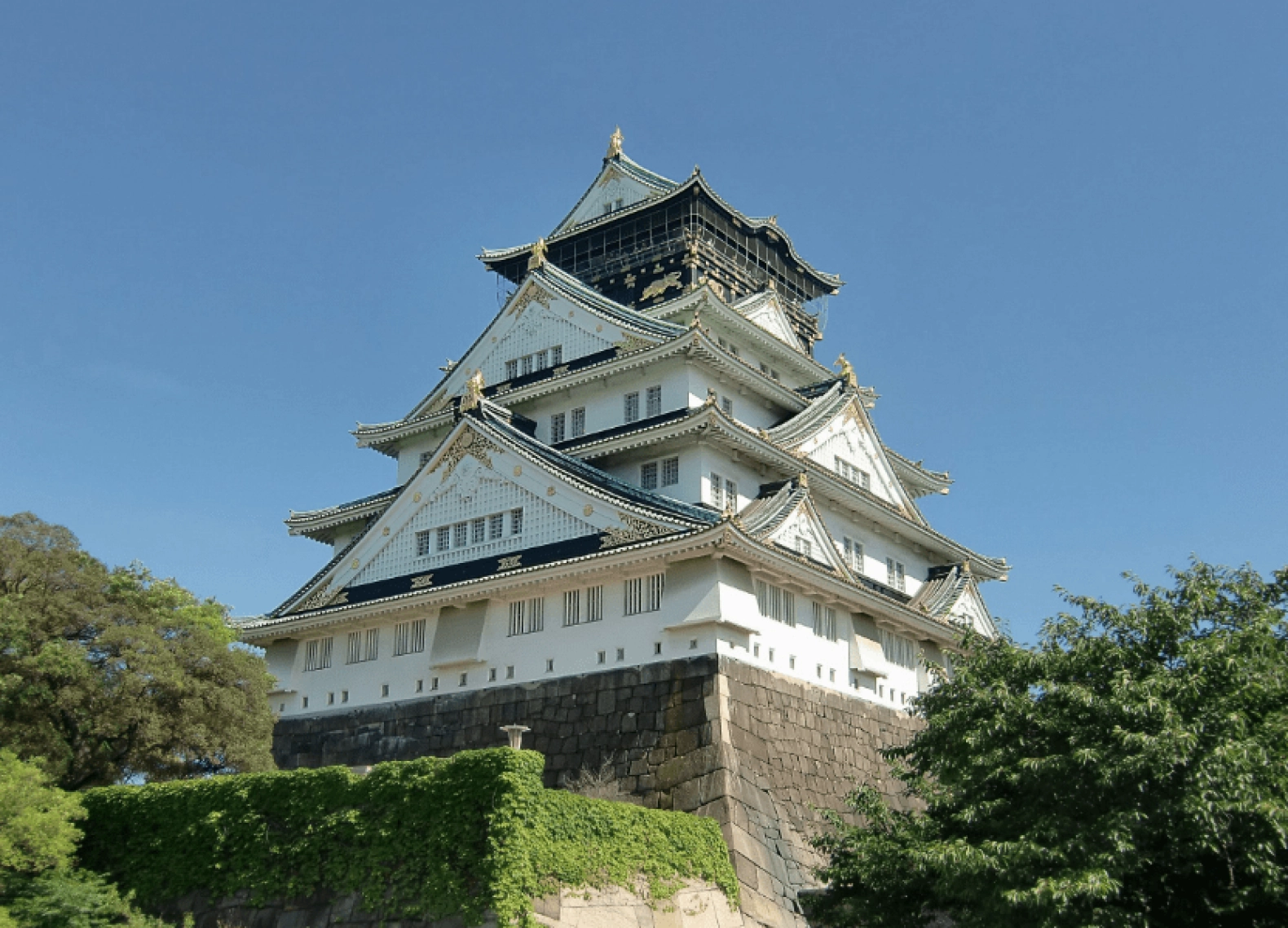 [Tour Nhật Bản CĐV tháng 5] Mùa hè Tokyo - Phú Sĩ - Osaka (26/05/2026)