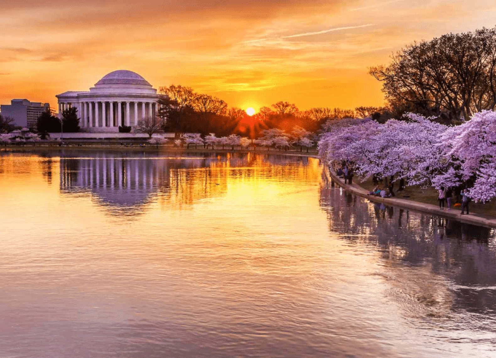 [Tour Mỹ liên tuyến tháng 3] Khám phá mùa hoa anh đào Đông Tây Hoa Kỳ (21/03/2026)
