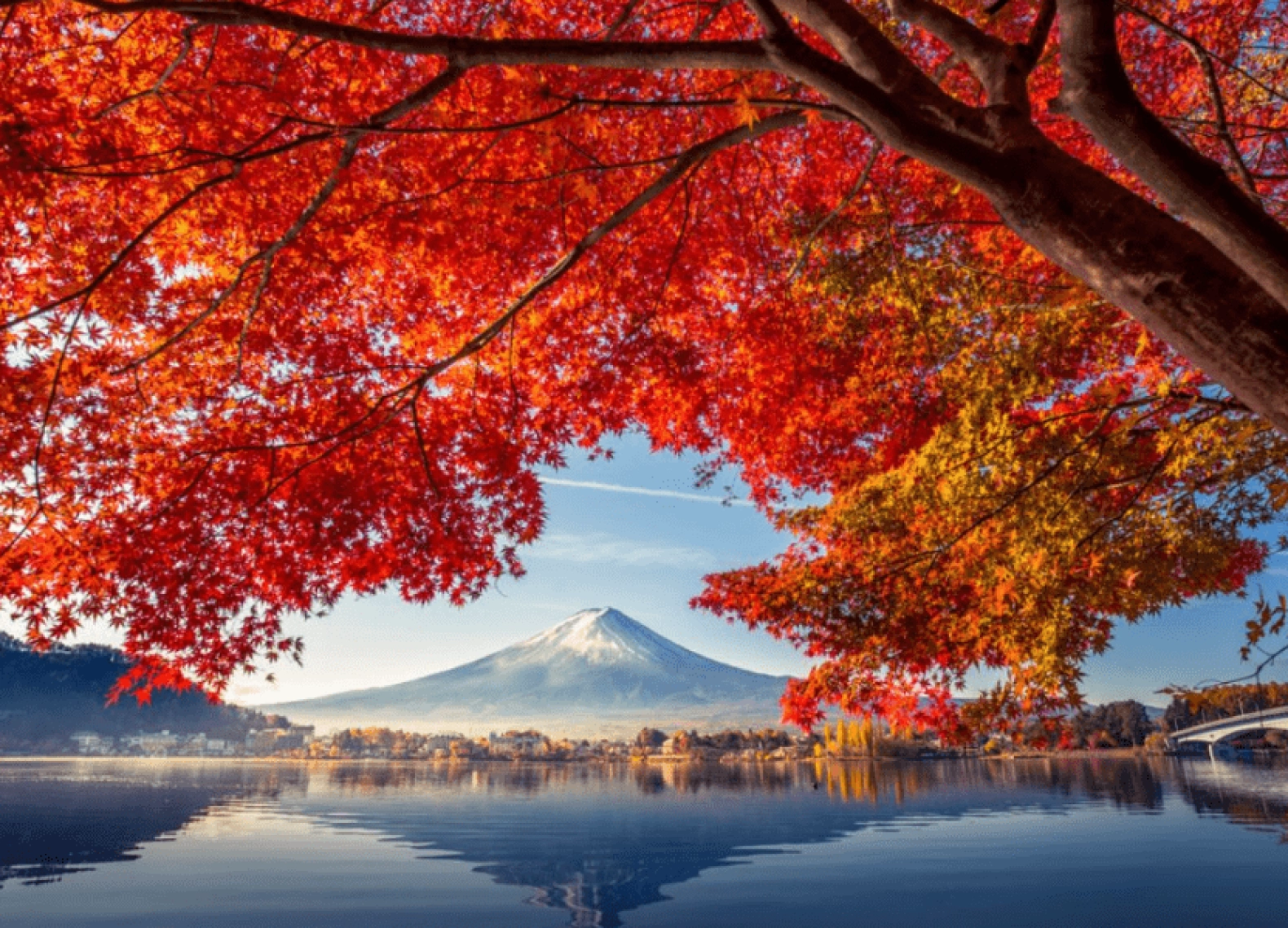 [Tour Nhật Bản CĐV tháng 11] Osaka - Kyoto - Nagoya - Phú Sĩ - Tokyo (18/11/2025)